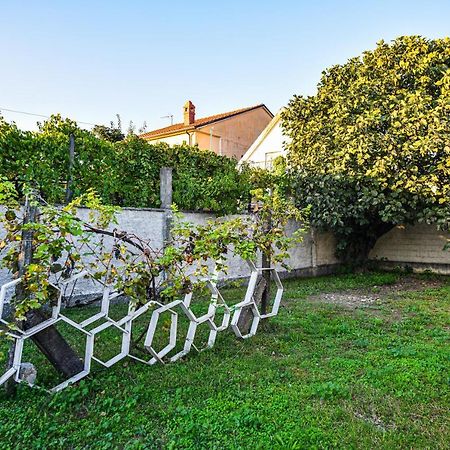 Villa Alba Shkodër Extérieur photo